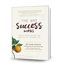 The-Way-Success-Works