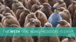 The Myth that Being Mediocre is Okay