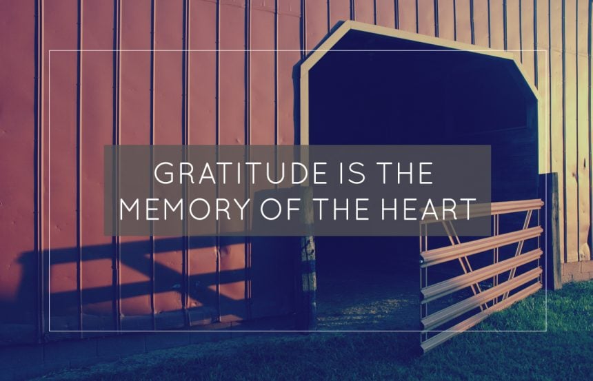Gratitude-Is-the-Memory-of-the-Heart