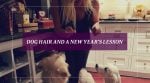 Dog Hair and a New Year’s Lesson