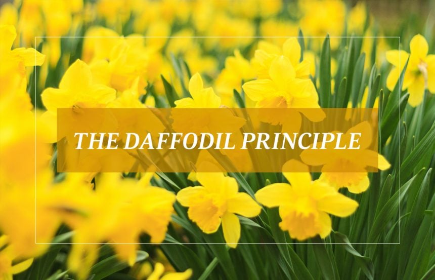 The-Daffodil-Principle