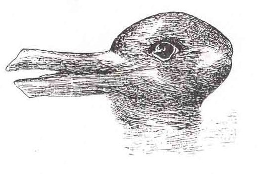 Duck-Illusion