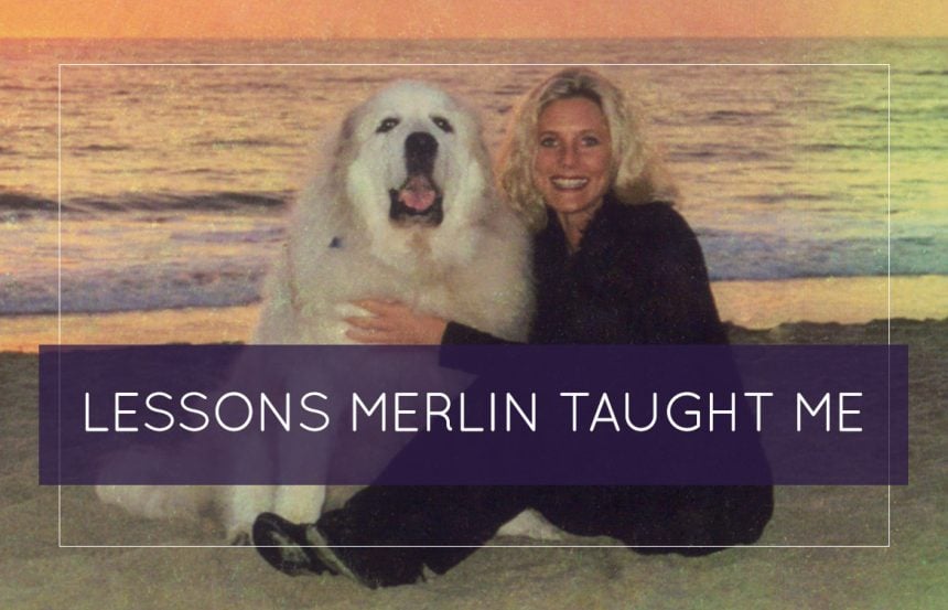 lessons-merlin-taught-me