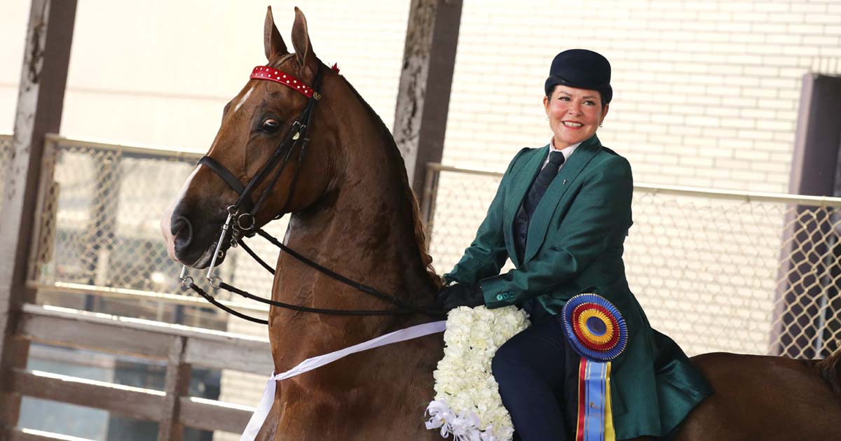 Sandy Gallagher sitting on a horse with a ribbon after winning an equestrian competition.